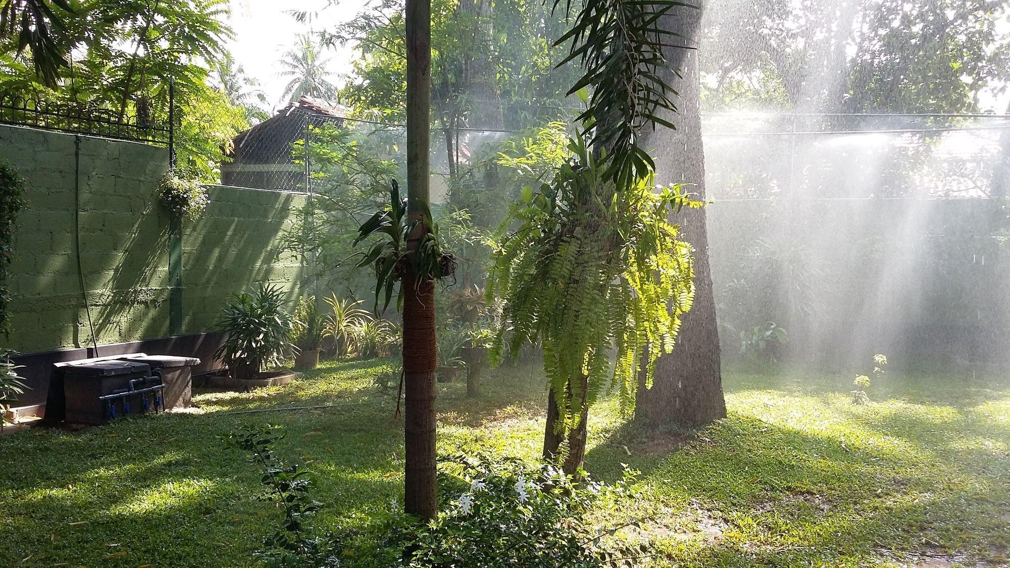 Bed and Breakfast West Dene Negombo Exterior foto