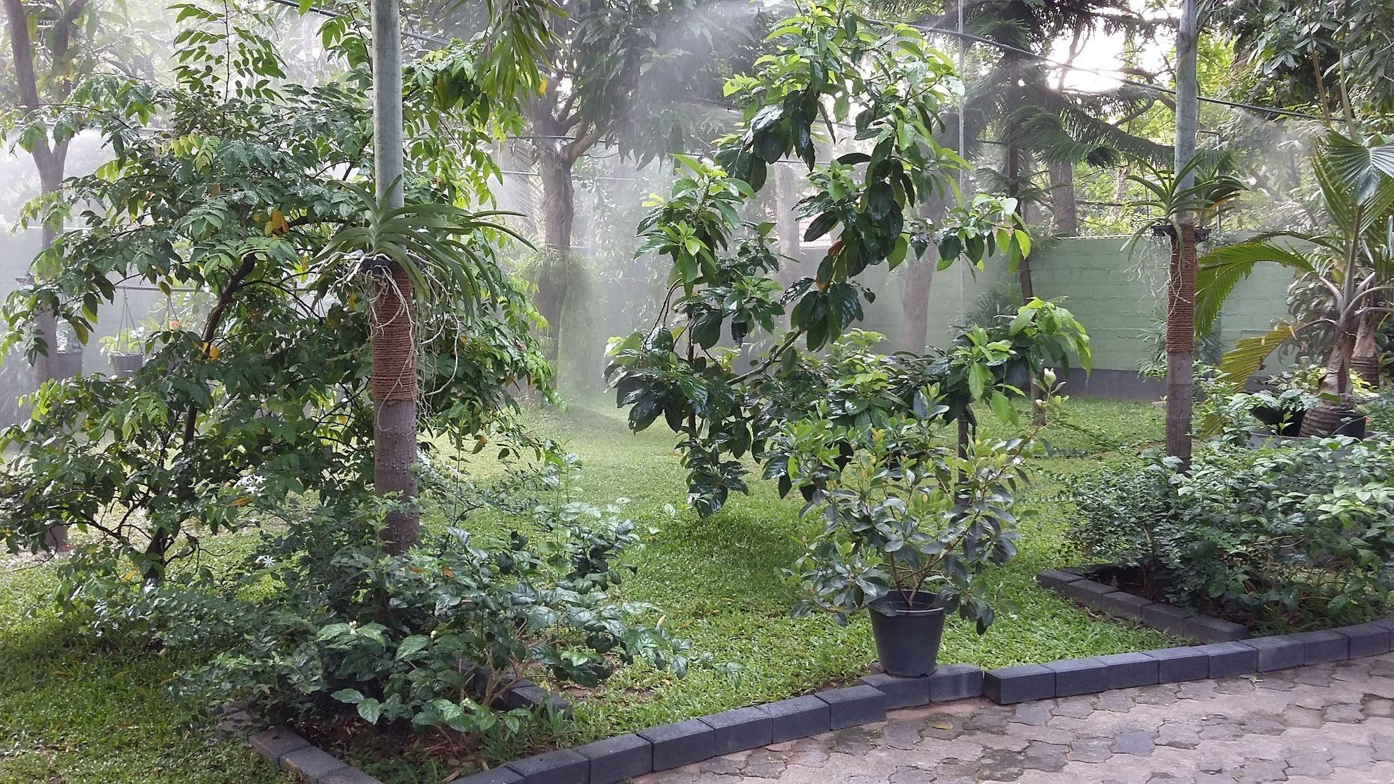 Bed and Breakfast West Dene Negombo Exterior foto