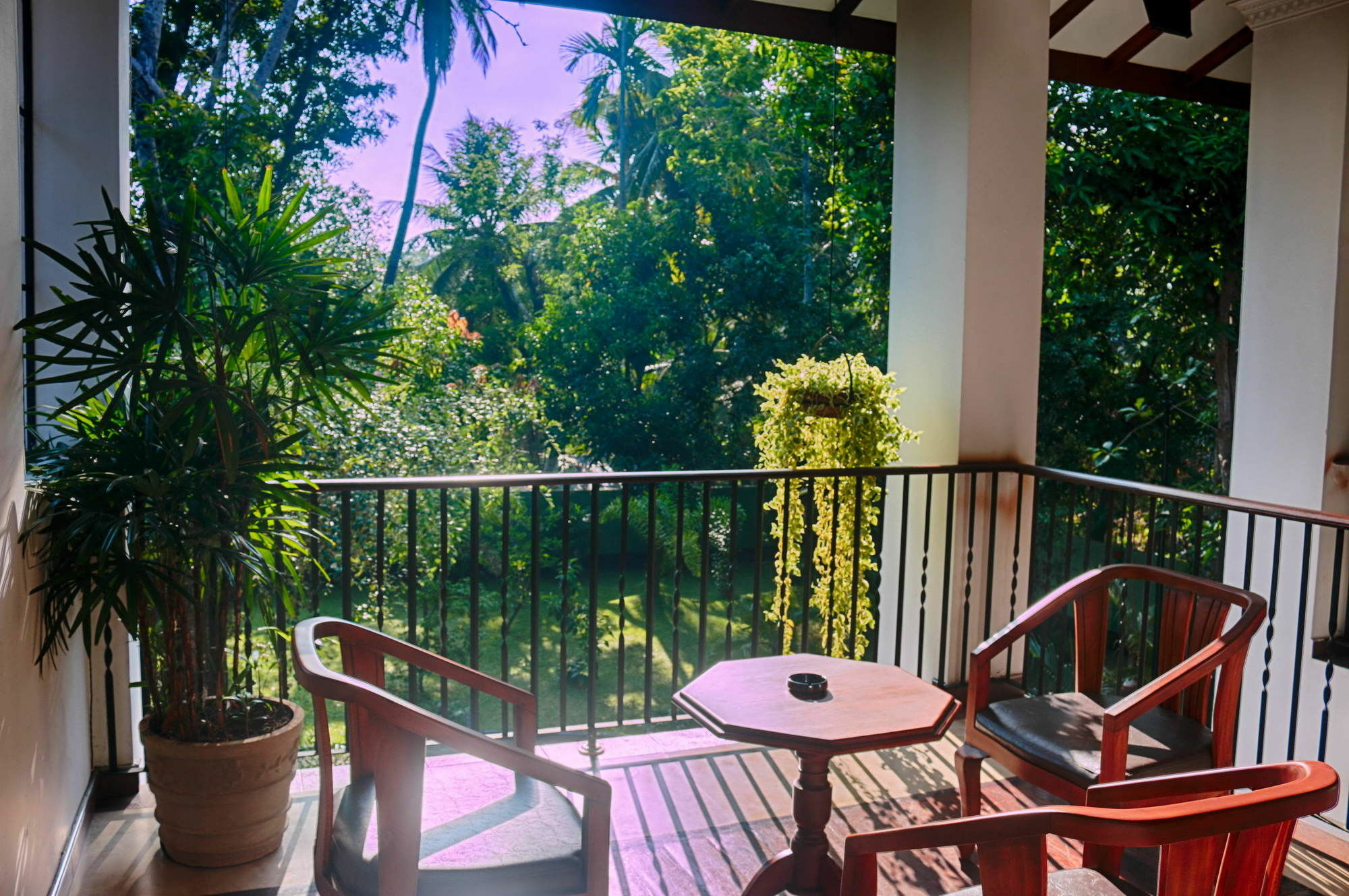 Bed and Breakfast West Dene Negombo Exterior foto