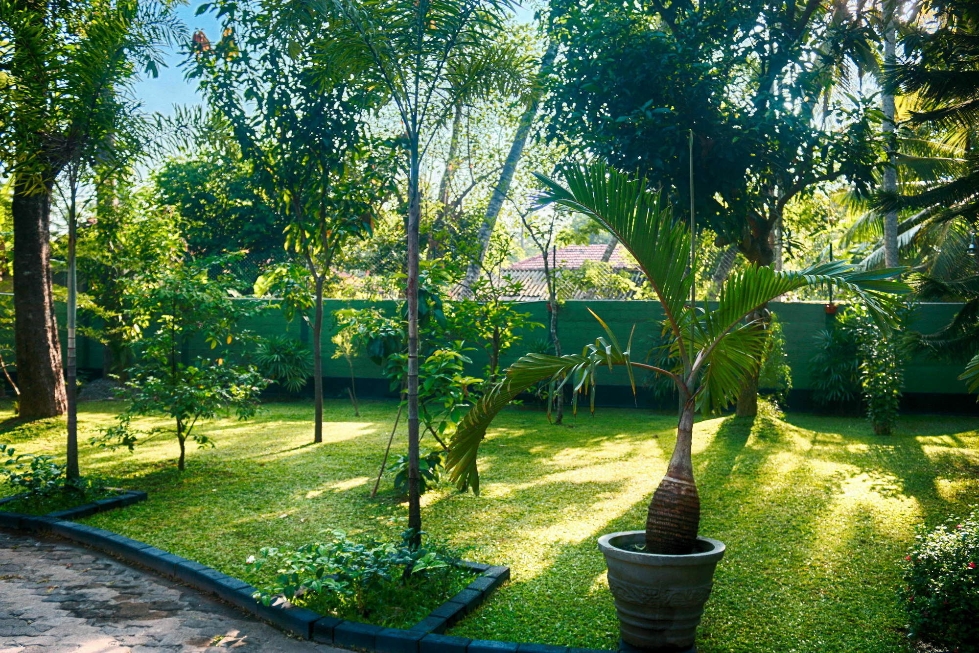 Bed and Breakfast West Dene Negombo Exterior foto